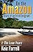 On the Amazon - Diary of an Irish Emigrant: 1: The Lean Years by Keir Farrell