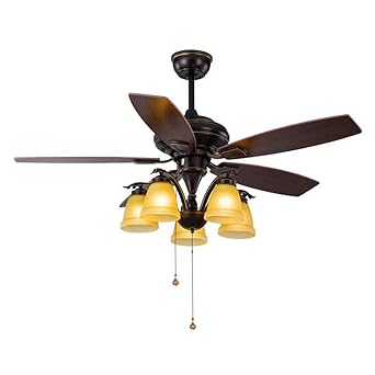 Wind Vane Ceiling Fan Light American Style Living Room Fan Light