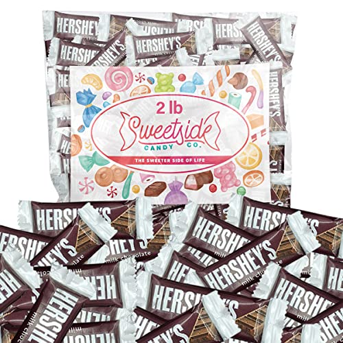 Hershey Chocolate Bars Mini Hershey Bars Individually Wrapped Bulk Chocolate Easter Milk