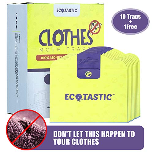ECOTASTIC Clothing Moth Traps 11 Count Foldable Moth EcoFriendly