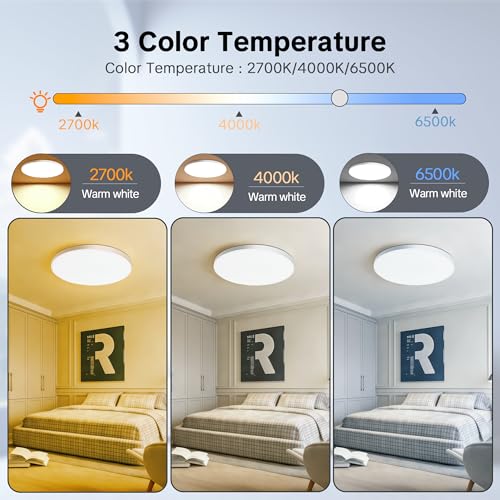 Laiebri Ceiling Light LED Ceiling Light, 24 W Diameter 30 cm, Smart RGBIC LED Kitchen Lamp with Remote Control, Works Compatible with App Control, Dimmable Lamp for Bedroom, Living Room