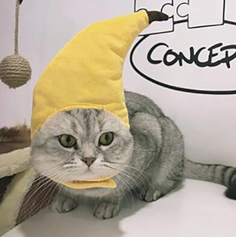 Waitfor Cute Hat For Pet Dog Cat Dogs Cats Banana Fruit Design