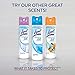 Lysol Odor Neutralizer Neutra Air Sanitizing Spray, Fresh Breeze, Fresh Breeze, 10 Ounce (Pack of 6)