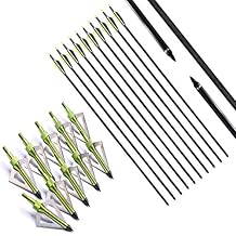 FlyArchery 10PK Archery - Flechas de Fibra de Vidrio para Caza DE 81,2 cm con 10 Hojas Verdes de 3 Cabezales y 100 Frijoles para Fila o recurva