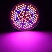 GLIME Grow Light Led Light Bulbs 80W Grow Lights Full Spectrum Plant Light for Greenhouse and Hydroponic Flower Lights E27 Grow Light Bulb for Indoor Plants