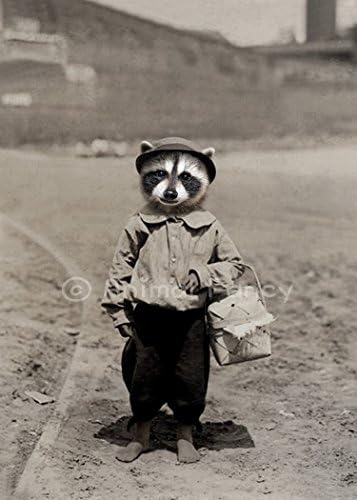 Raccoon Art Print - "Zori"