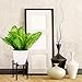 Plant Holder for Indoor and Outdoor Plants - Plant Stands Indoor - Metal Indoor Plant Stand for Potted Plants and Flowers - Mid Century Plant Stand and Potted Plant Holder - Indoor Planter Stand