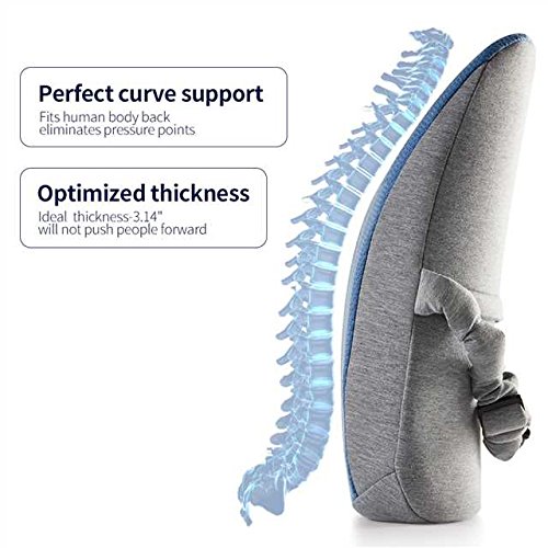 Jiaao Large Lumbar Support Memory Foam Pillow - Orthopedic Design Relieves Lower Back Pain, Back Cushion for Car & Office Chairs, Breathable Cover, Adjustable Strap (Light Blue)