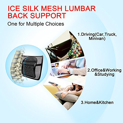 Double Mesh Lumbar Support Chair Cushion Waist Lower Back Supportive Cushions,Ice Silk Chair Seating Support Cushion for Car Home Office,Upgraded Breathable Seat Chair Sofa Lumbar BACK WAIST Support