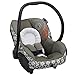 Maxi-Cosi Mico Max 30 Infant Car Seat, Graphic Flower