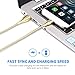 ZONYIN USB Type C Cable 2 Pack Metal Braided Fast Charging Data Cable High Speed ​​Charger Cable for Samsung S9 S8 Note 8 Smartphone Tablet - Gold & Silver