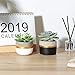 Mkono 3 Inch Mini Concrete Succulent Pots, 4 Pack Cement Cactus Planters Small Clay Indoor Herb Window Box Container (Plants NOT Included)