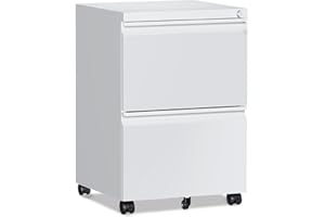RAVIGIN 2 Drawer File Cabinet，Mobile Filing Cabinet with Lock and Wheels，Fully Assembled Metal Under Desk File Cabinets for A4/Letter/Legal Size（White