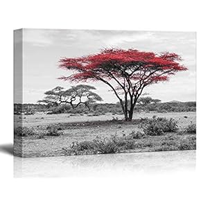 Canvas Wall Art - Pop of Red Color Acacia Treetop on Black and White African Savanna Background - Giclee Print Gallery Wrap Modern Home Art Ready to Hang - 12x18 inches