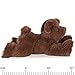 Vermont Teddy Bear Stuffed Animals - 15 Inch, Belly Bear