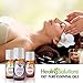 Healing Solutions Love & Passion Set 100% Pure, Best Therapeutic Grade Essential Oil Kit - 6/10mL (Adoration, Aphrodisiac, Lavender, Love, Rose, and Sensation)