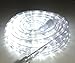 Izzy Creation 24ft Daylight White LED Rope Lights Kit, Plugin, Indoor/Outdoor Lighting, 1/2