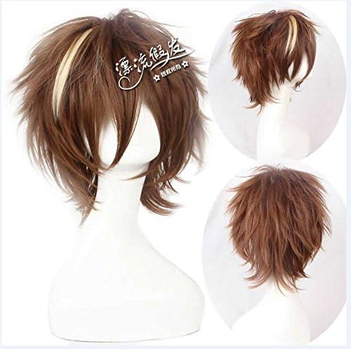 FLYGOU Short Layered Cosplay Costume Wig for Men Boys Adults or Teens(Brown/blonde)