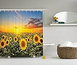 Country Shower Curtain Farm Garden Decorations by Ambesonne, Sunset over Colorful Sunflower Plants Field at Cloudy Evening, Fabric Bathroom Shower Curtain Set with Hooks, Blue Brown Yellow Green