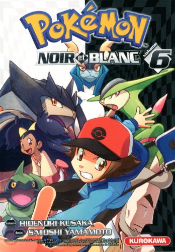 Pokémon noir et blanc
