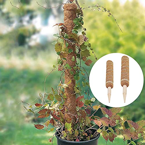 33 Inch Moss Pole(2PCS) - Totem Moss Poles for Climbing Plants - Coco Coir Moss Totem Poles Plant Stakes Coir Moss Stick - Support Climbing Indoor Plants to Grow Upwards