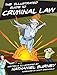The Illustrated Guide to Criminal Law