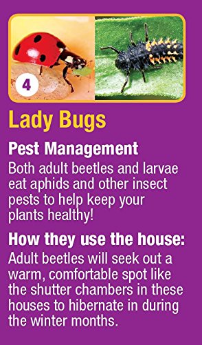 Nature's Way Bird Products CWH7 Insect House