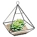 Hanging Clear Glass Prism Air Plant Terrarium/Tabletop Succulent Planter/Tea Light Candle Holder