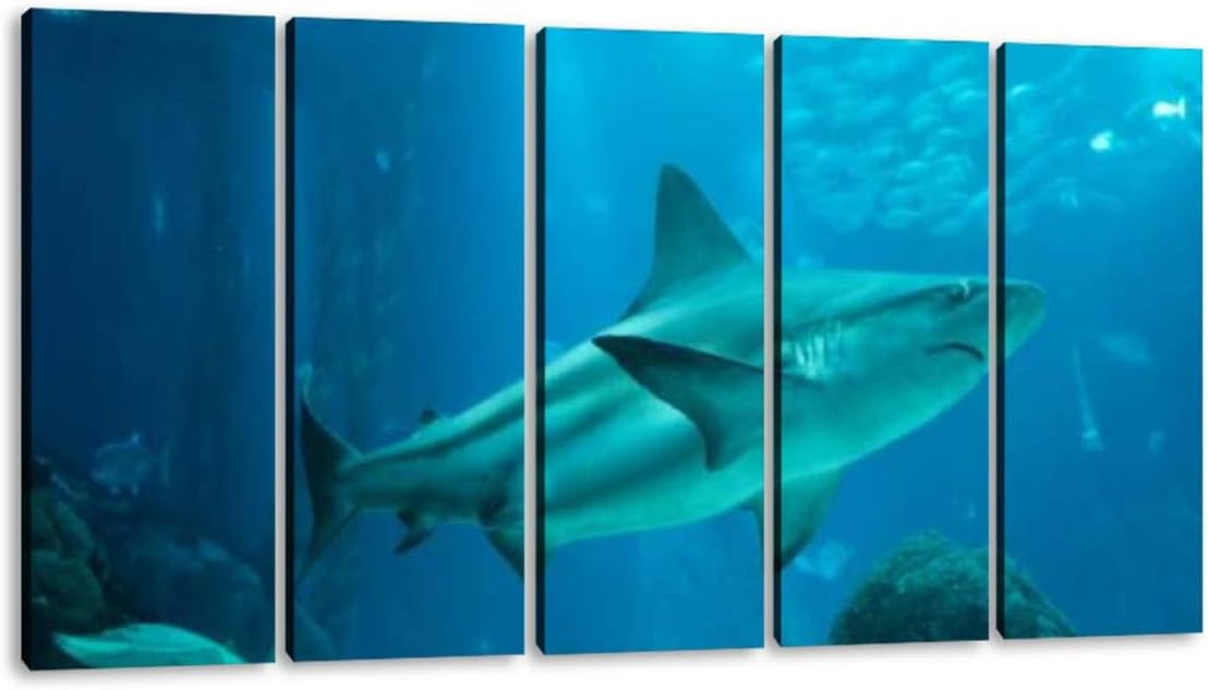 KiiAmy 5 Panels Art Wall Decor sea Life Whale Shark Stock Pictures, Royalty Free Photos Images Artwork Modern Canvas Prints Office Bedroom Home Decor Framed Painting Ready to Hang (60''Wx32''H)