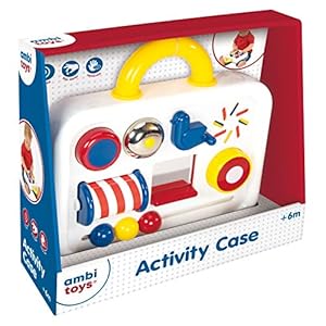 Galt Ambi Toys, Activity Case, Multicolor