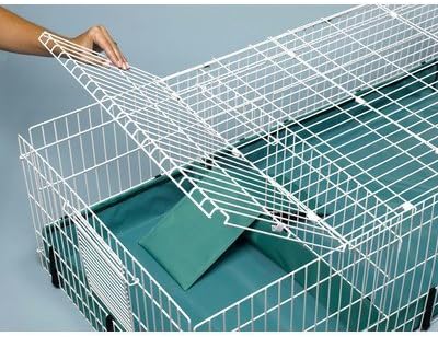 Midwest Guinea Habitat Ramp Cover by Midwest Homes for Pets