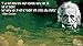 Albert Einstein poster 43 inch x 24 inch / 24 inch x 13 inch by bribase shop