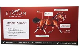 ETALON DIAGNOSTICS Etalon Equine Genetics Pro Package + Ancestry Horse DNA Test, Genetic Testing Plus Ancestry (70+ Traits) - Identify Equine Breed Composition & DNA - Test for Coat Color, Diseases, Abilities