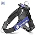 Medium Dog Harness (2nd GEN ),Black Front and Back Lead dog Harness Durable with Handle and 2 D Ring for Puppy ,Small Medium Dog Pet Supplies by Bondpaw