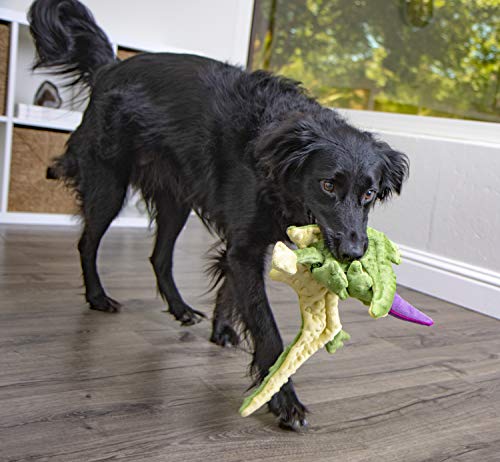 pterodactyl dog toy