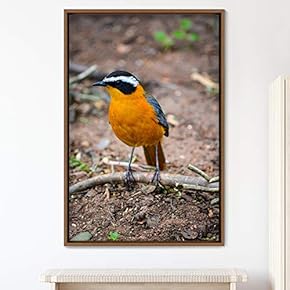 signwin Framed Canvas Wall Art Single Bird Birds...