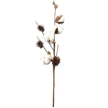 Amazoncom Iusun Artificial Flowers Naturally Dried Cotton - 