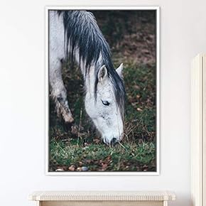 signwin Framed Canvas Wall Art Horse Animals Dramatic...