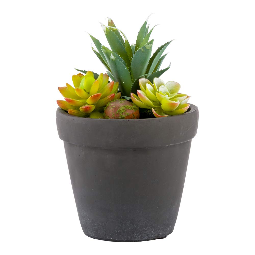 Plastic Table Art Faux Succulent Arrangement - Cement Flower Pot, Brushed Charcoal - 5 1/2" x 5 1/2" x 9" - 1 count box - Restaurantware