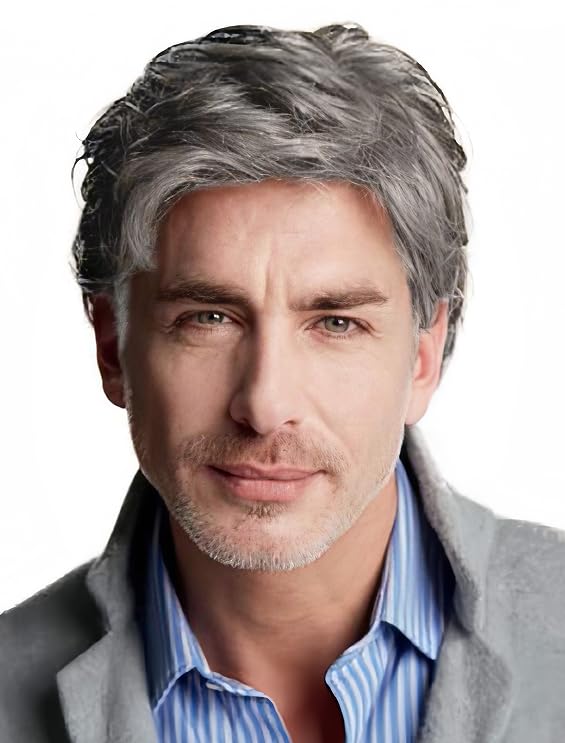 Salaibs Grey Short Wigs for Men Natural Layered Synthetic Hair Wig Realistic Heat Resistant Male Daily Cap Wig — image 1