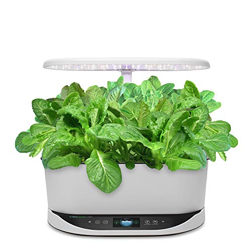 AeroGarden Mixed Romaine Lettuce Seed Pod Kit Pricepulse