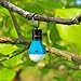 Camping Tent Lantern Bulb Lights - 4 Pack Multi Color - Portable Camp LED Lamp for Fishing Hiking Emergency - Battery Powered Includes 12 AAA