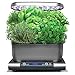 AeroGarden Harvest Grey