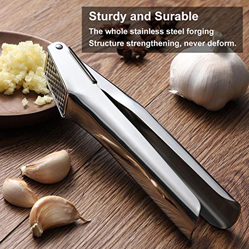 Garlic Press Stainless Steel, Heavy Duty Garlic Mincer With Square Hole - Rust Proof, Professional Grade Garlic Crusher - Dishwasher Safe, Easy Squeeze, Kitchen Tools, Easy To Clean