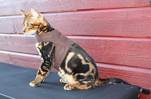 Mynwood Cat Jacket/Harness Chocolate Fleece Adult Cat