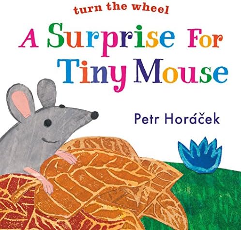 A Surprise for Tiny Mouse
