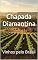 Livro Chapada Diamantina: Vinhos pelo Brasil (Wines of the World: Brazil)