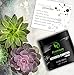 Activated Charcoal Teeth Whitening Powder - All Natural 4 oz Black Charcoal Charcol Teeth Whitener Charcole White Teeth Powder Safe & Gentle for Gums Sensitive Teeth Brighter Smile