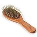BFWood Detangling Brush for Thick and Curly Hair - Wooden Handle with Metal Bristles