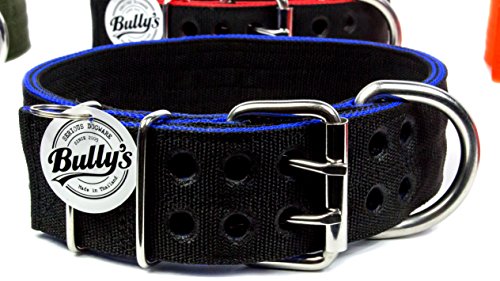 Pitbull Collar, Dog Collar for Large Dogs, Heavy Duty Nylon, Stainless Steel Hardware (XL, Black with Blue Trim)